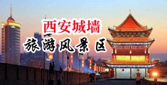 yyooxxzzooxx中国陕西-西安城墙旅游风景区